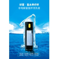 氢水养疗杯